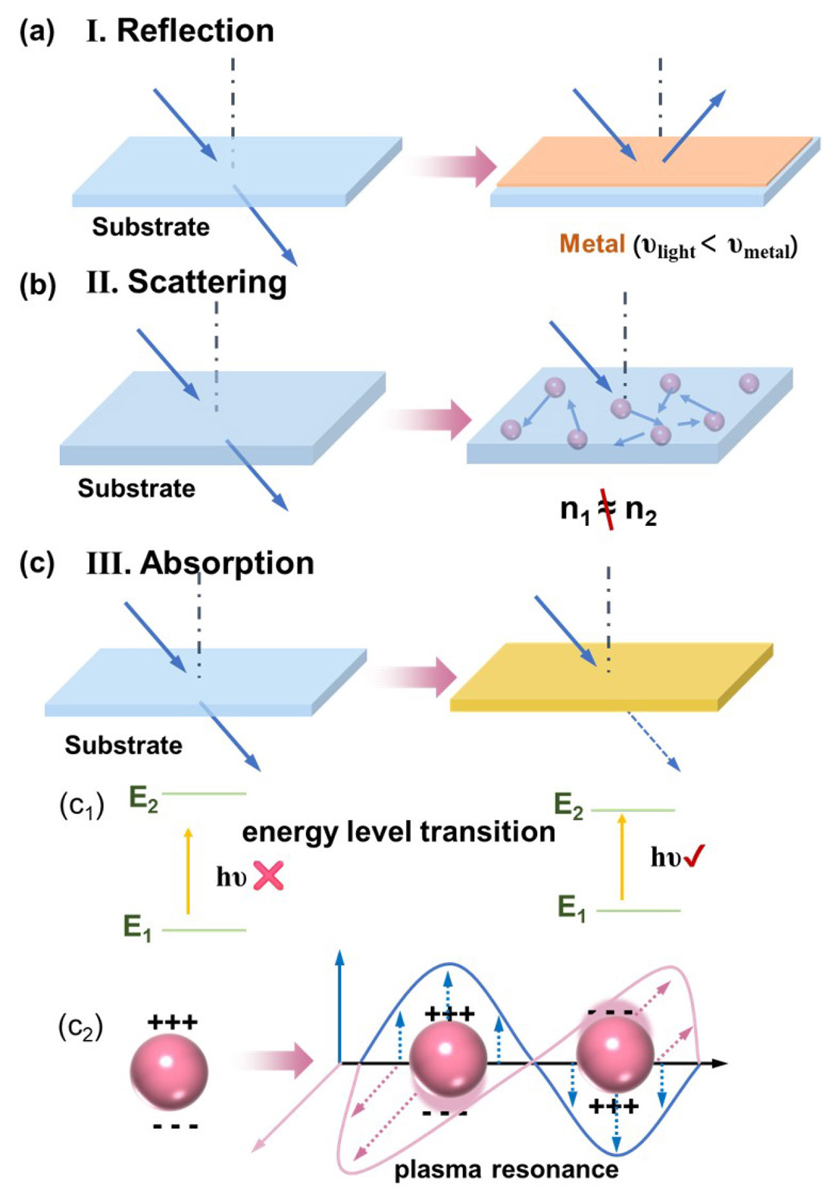Figure 2 Refer to the following caption and surrounding text.