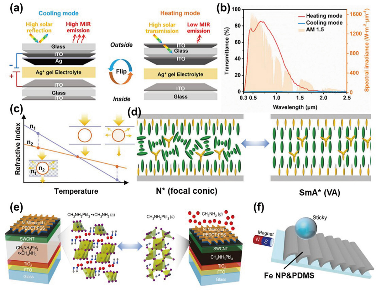 Figure 3 Refer to the following caption and surrounding text.