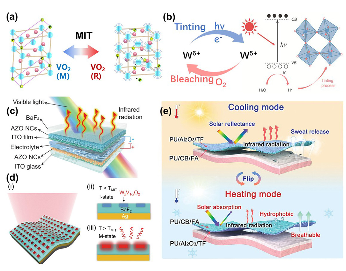 Figure 4 Refer to the following caption and surrounding text.