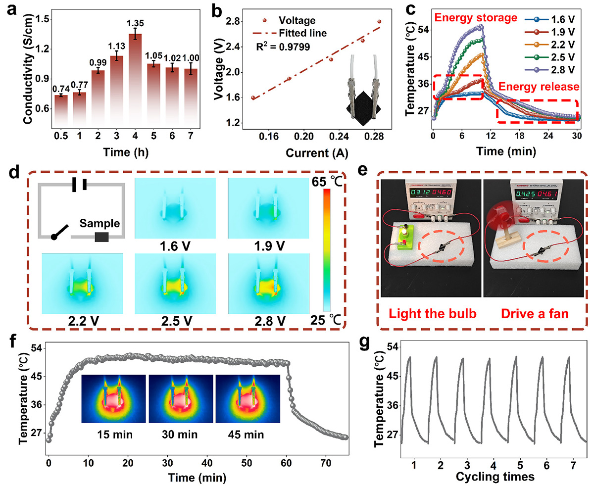 Figure 2 Refer to the following caption and surrounding text.