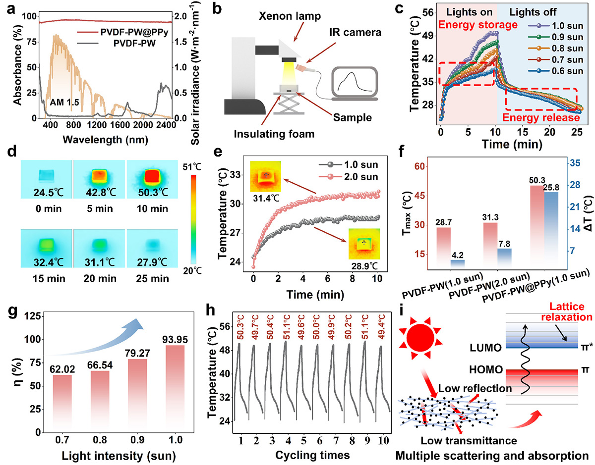 Figure 3 Refer to the following caption and surrounding text.
