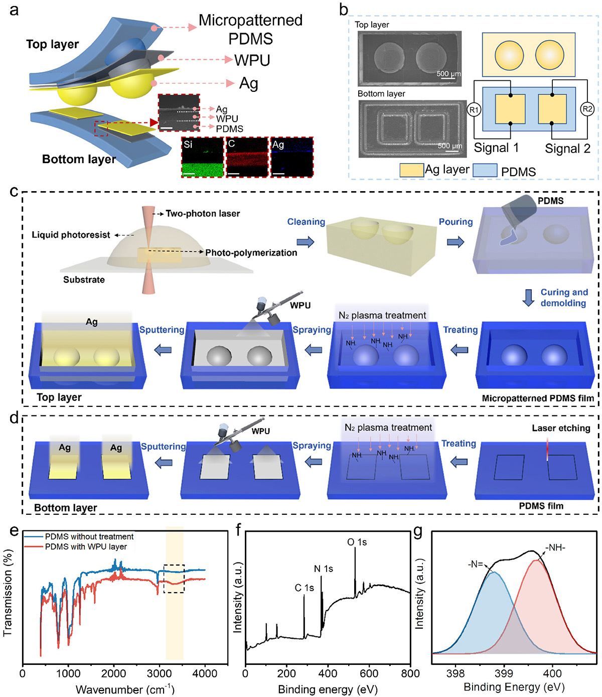 Figure 4 Refer to the following caption and surrounding text.