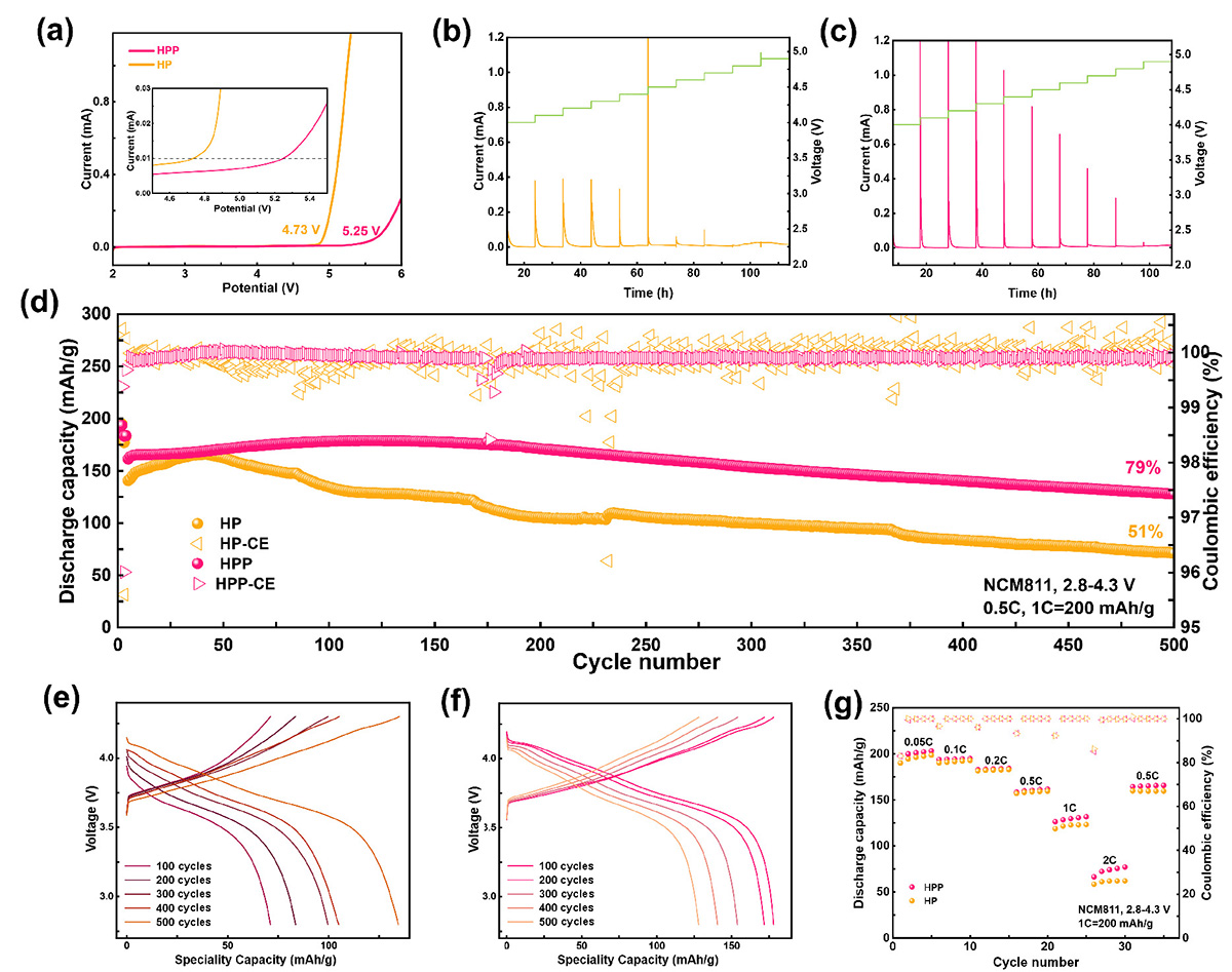 Figure 4 Refer to the following caption and surrounding text.