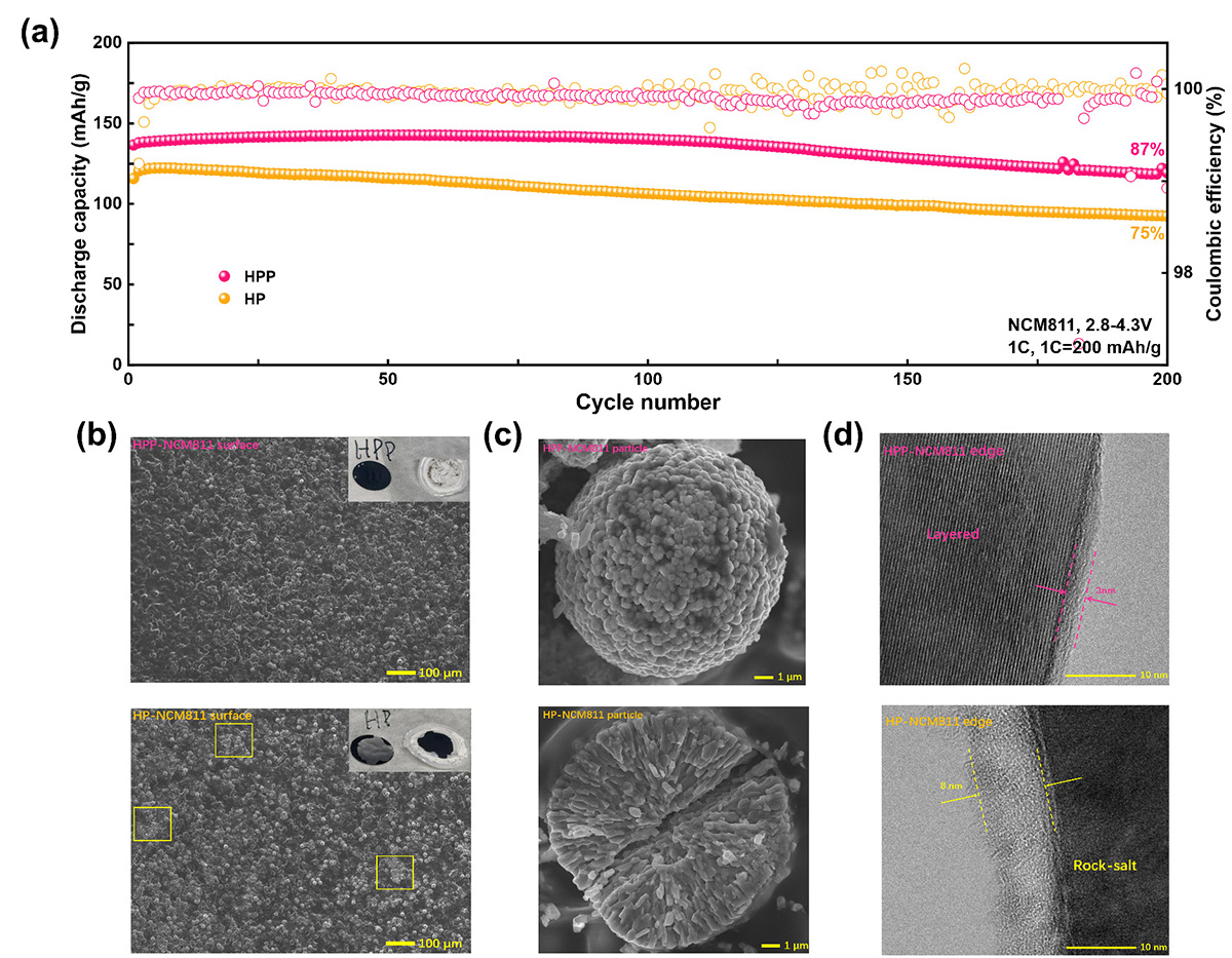 Figure 5 Refer to the following caption and surrounding text.