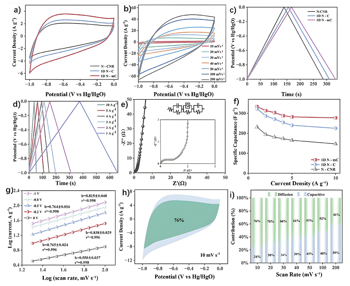 Figure 4 Refer to the following caption and surrounding text.