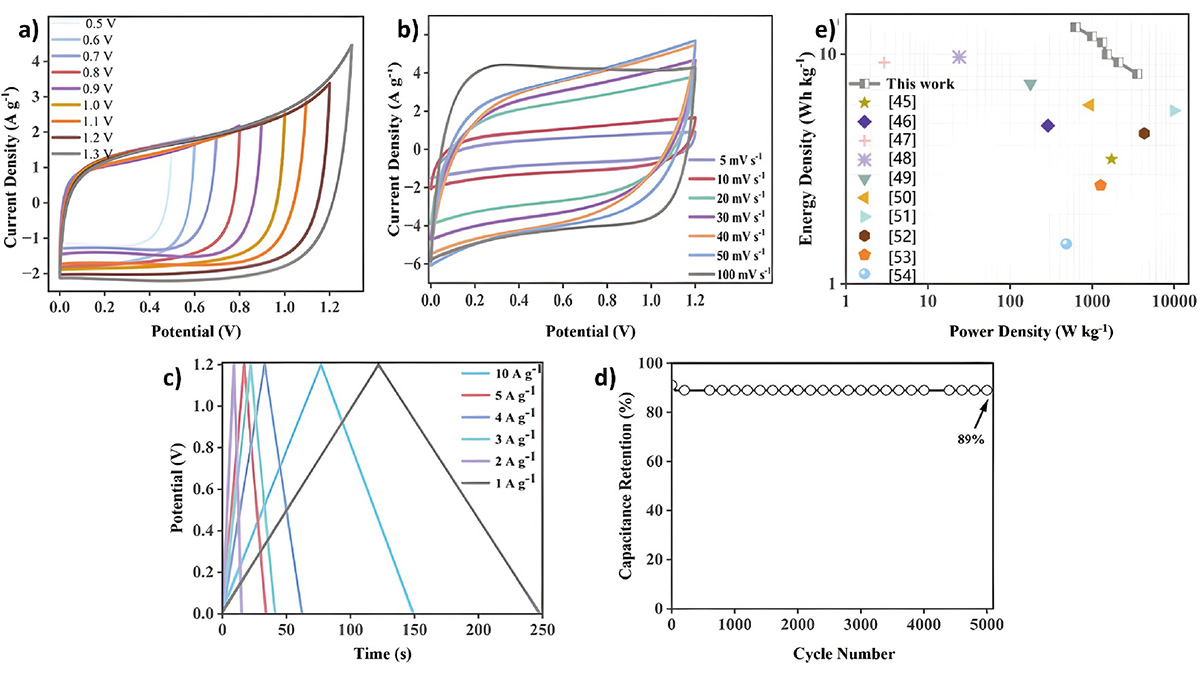 Figure 5 Refer to the following caption and surrounding text.