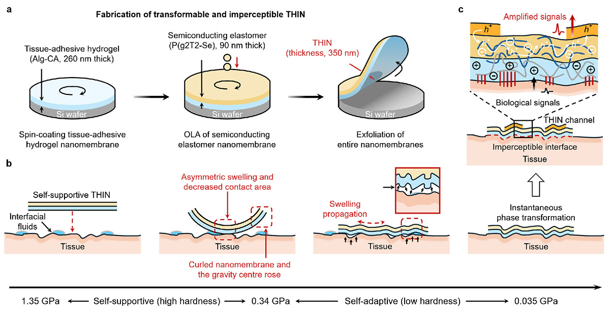Figure 1 Refer to the following caption and surrounding text.